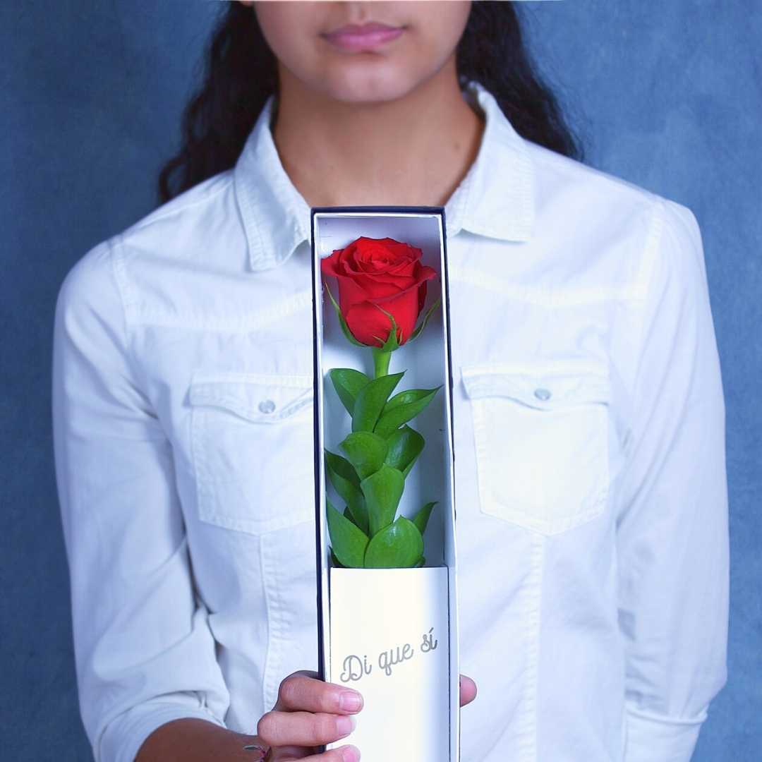 Caja con rosa roja